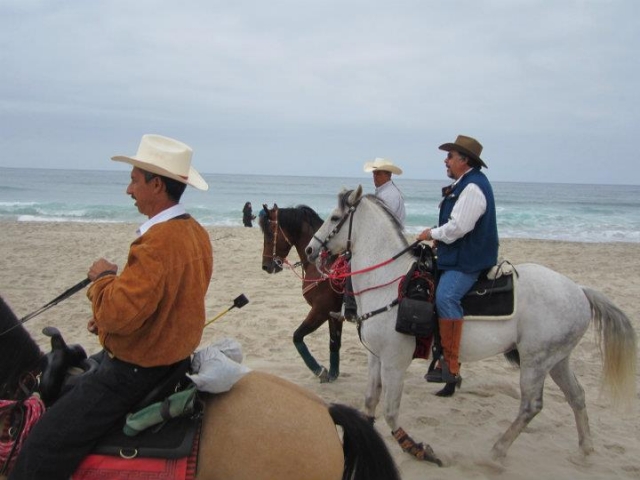  Equitation sur la plage 